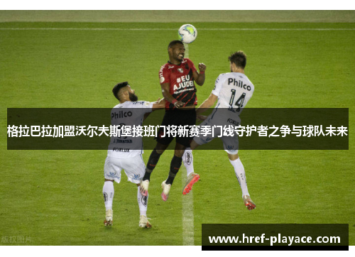 格拉巴拉加盟沃尔夫斯堡接班门将新赛季门线守护者之争与球队未来