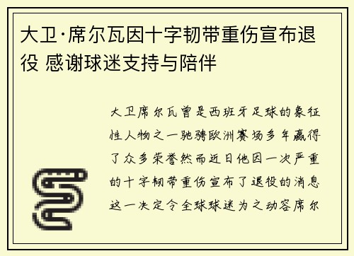 大卫·席尔瓦因十字韧带重伤宣布退役 感谢球迷支持与陪伴